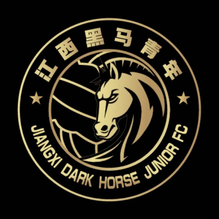  官方：江西黑馬青年完成異地遷移程序，更名為溫州職業(yè)足球俱樂(lè)部